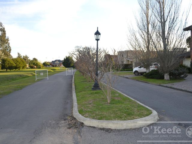place photo 24