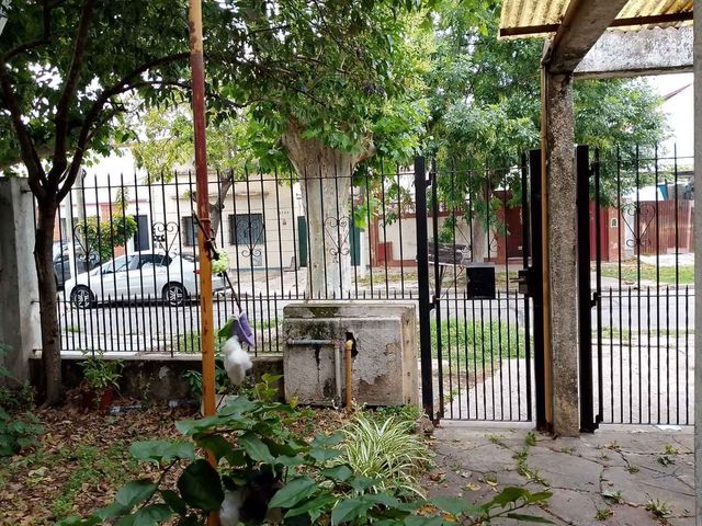 place photo 35