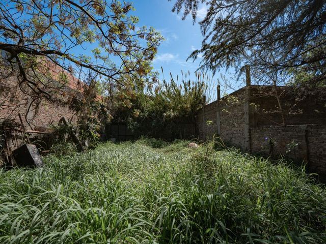place photo 27