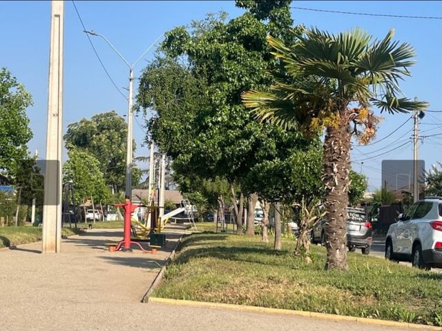 place photo 14