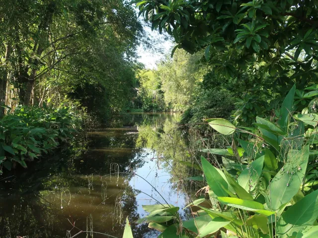 place photo 15