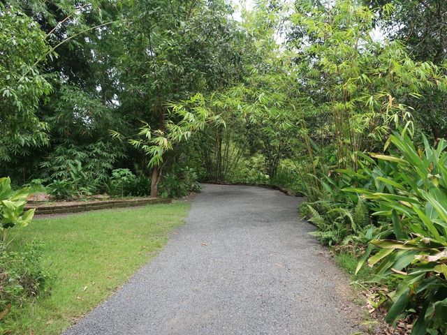 place photo 61