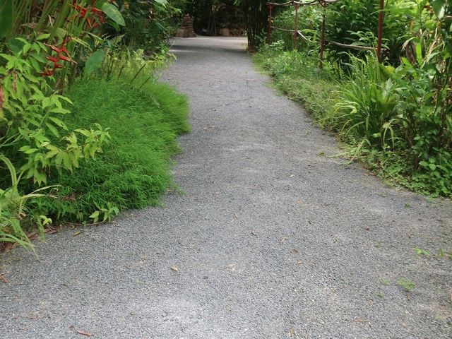 place photo 47