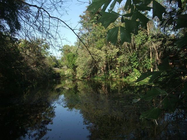 place photo 39