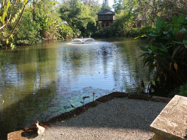 place photo 63