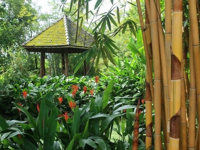 place photo 49