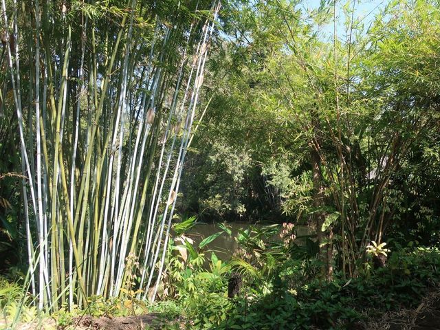 place photo 60