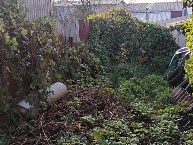 place photo 14