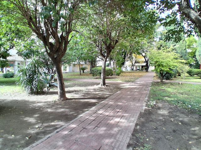 place photo 29