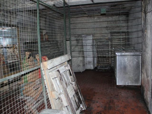 place photo 35