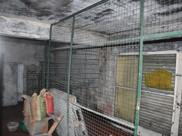 place photo 34