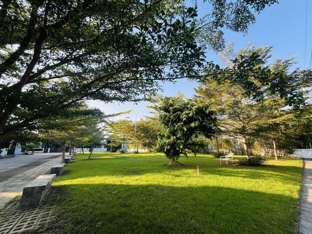 place photo 26