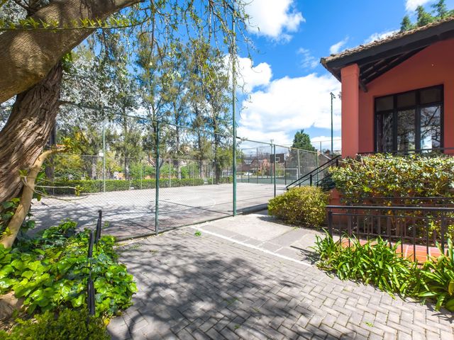 place photo 46