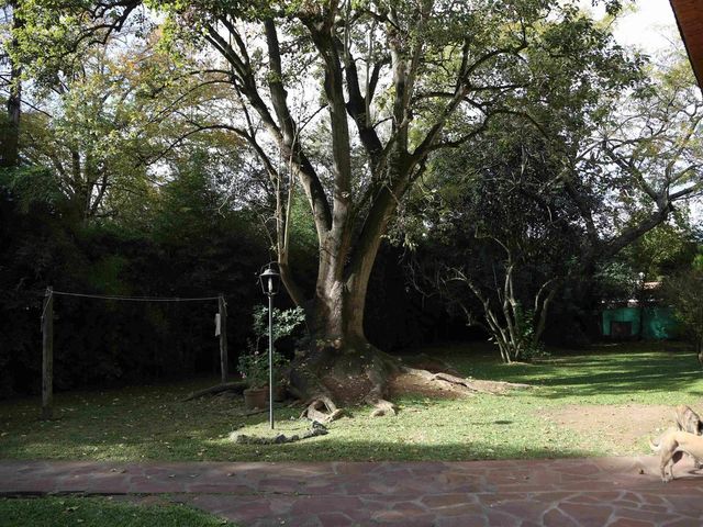 place photo 39