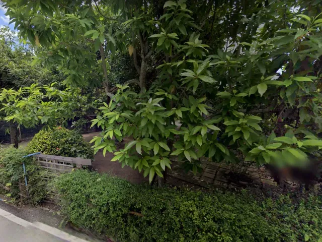 place photo 3