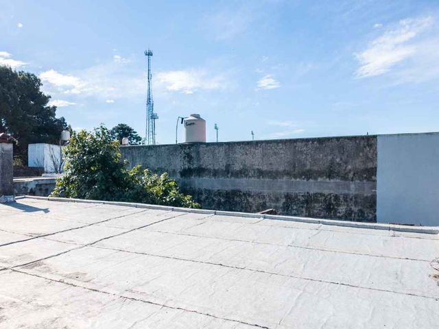 place photo 41