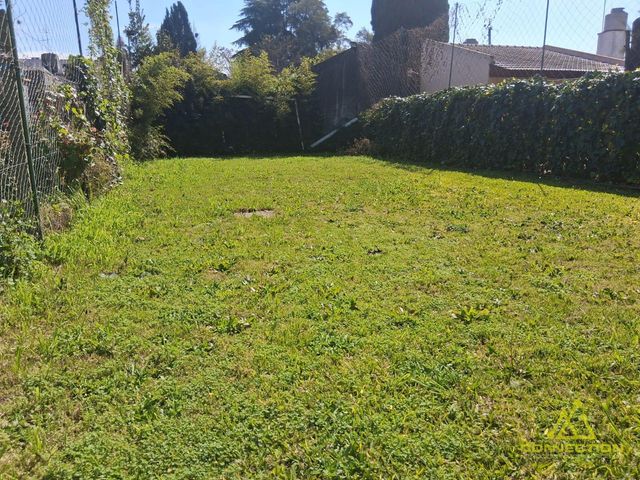place photo 49