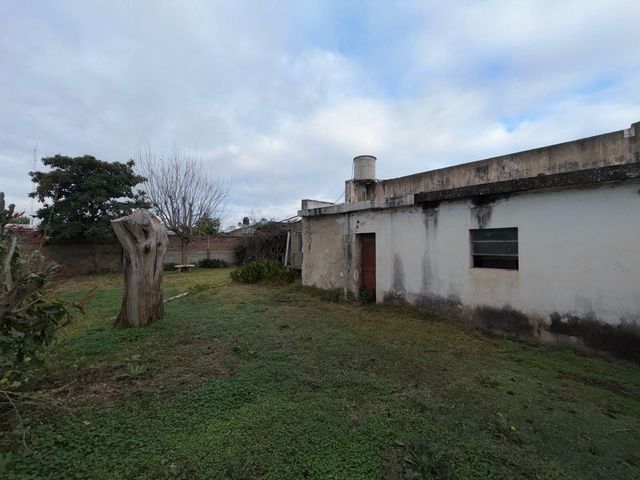 place photo 24