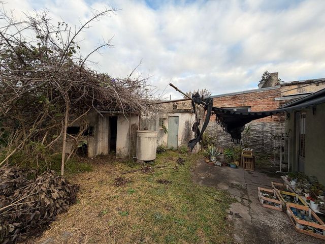 place photo 26