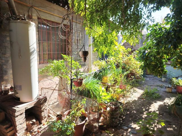place photo 16