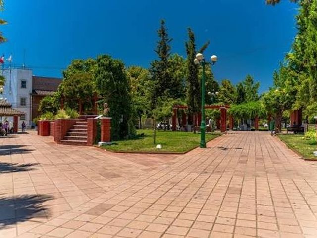 place photo 22
