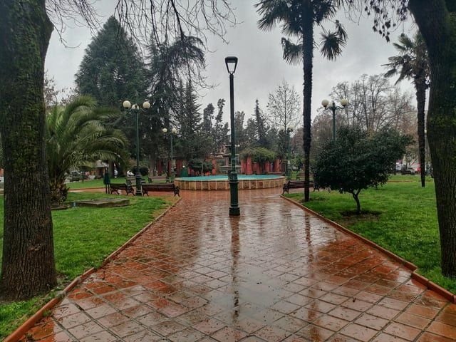 place photo 24