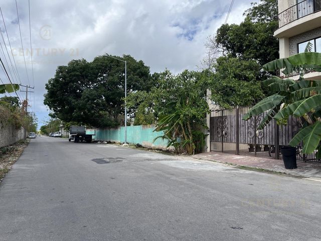 place photo 19