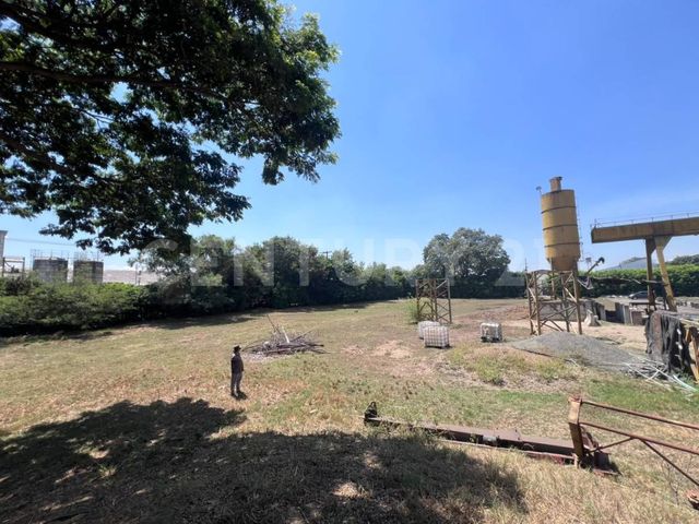 place photo 16