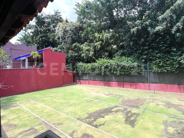 place photo 48