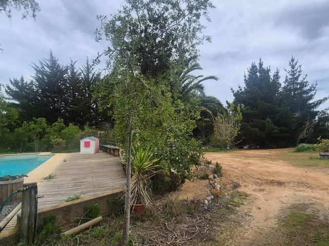 place photo 59