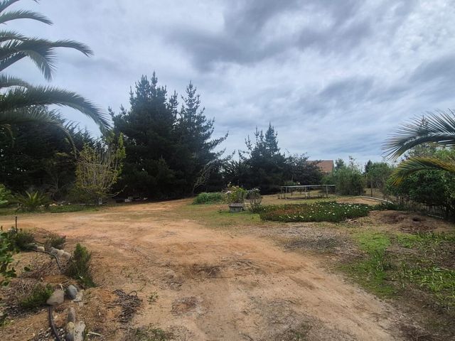 place photo 58