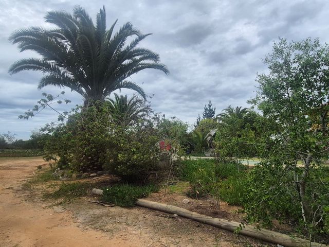 place photo 54