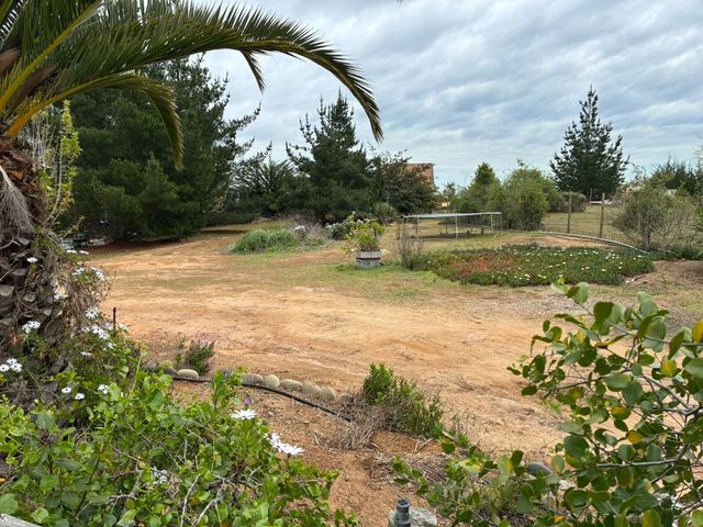place photo 40