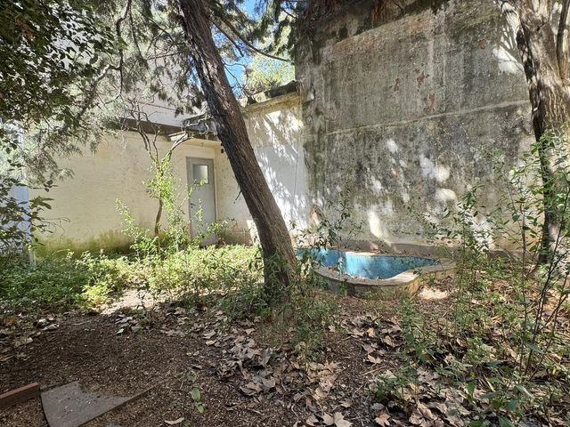 place photo 62