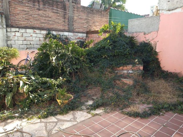 place photo 16