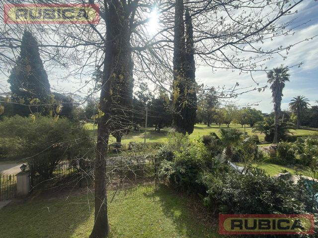 place photo 81