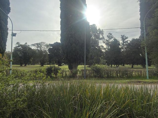 place photo 79