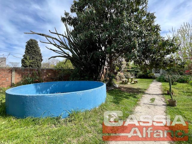 place photo 40