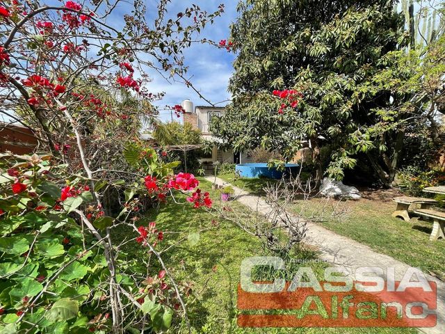 place photo 43