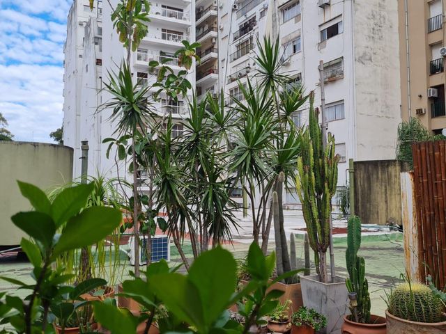 place photo 48
