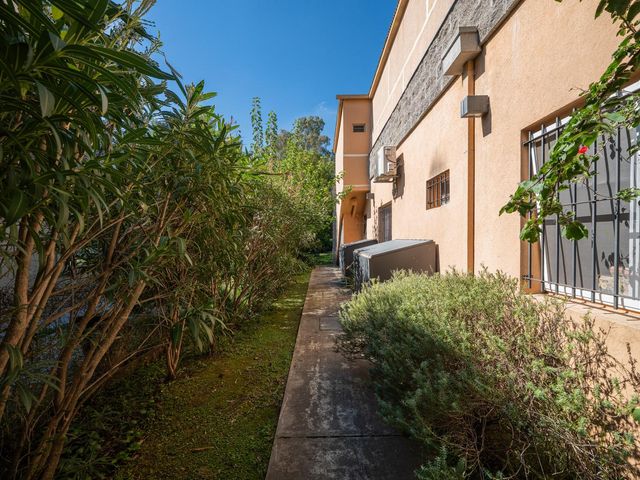 place photo 55