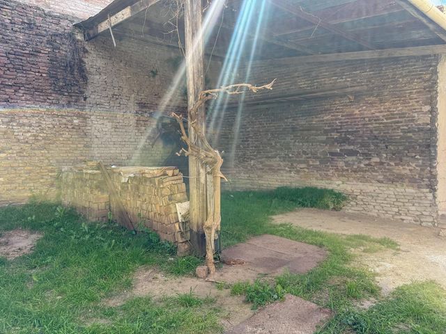 place photo 33