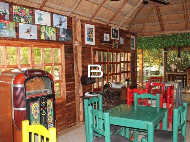 place photo 20