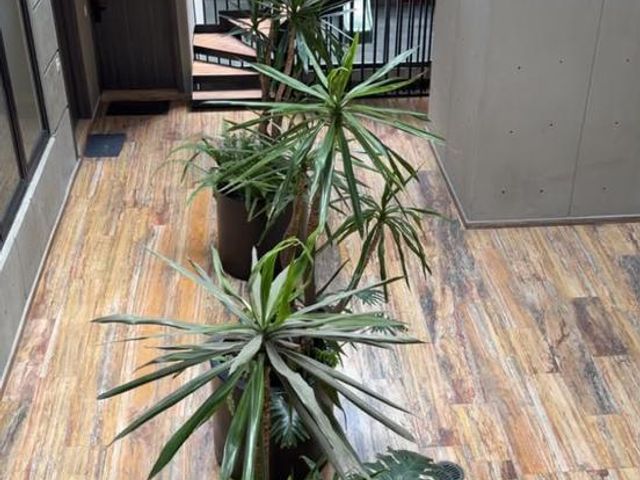 place photo 19