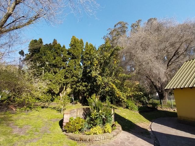 place photo 49