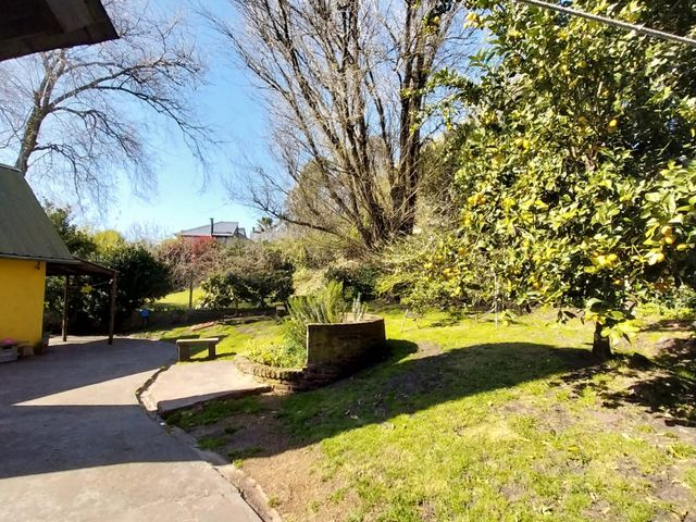 place photo 47