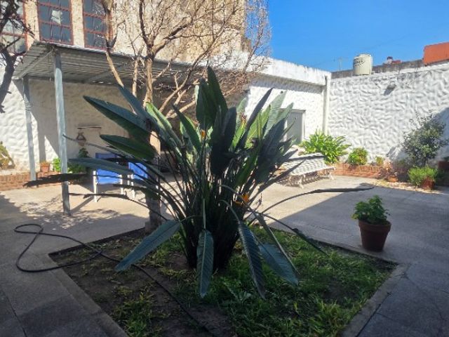 place photo 23