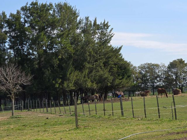 place photo 42