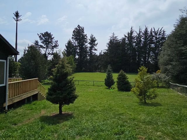 place photo 25