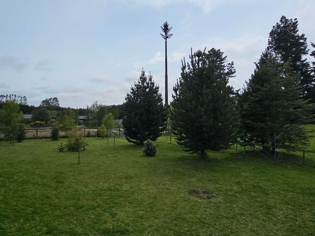 place photo 24